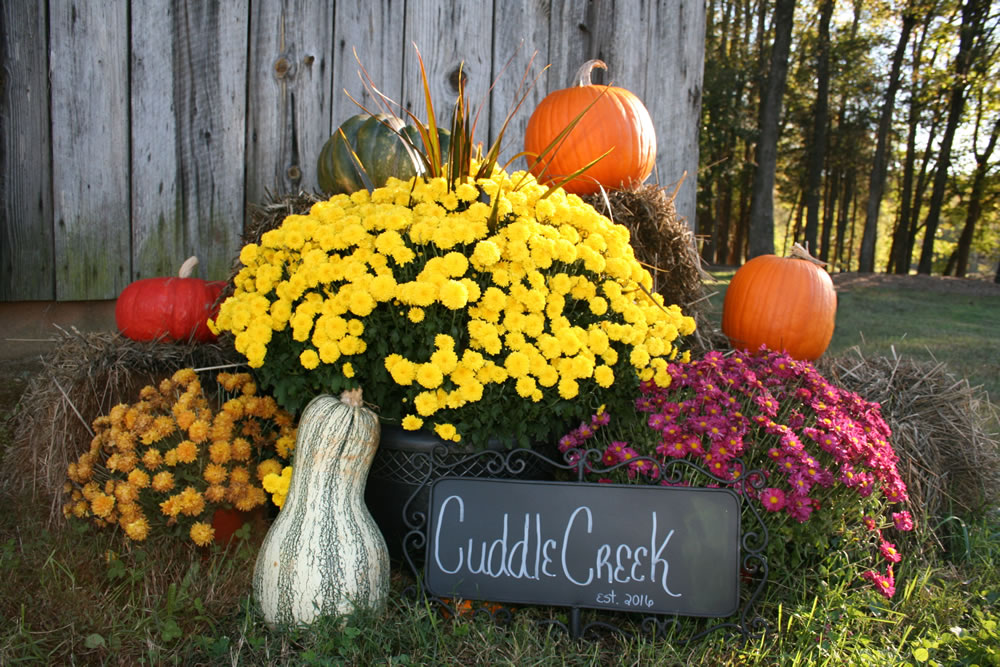 Cuddle Creek Farm