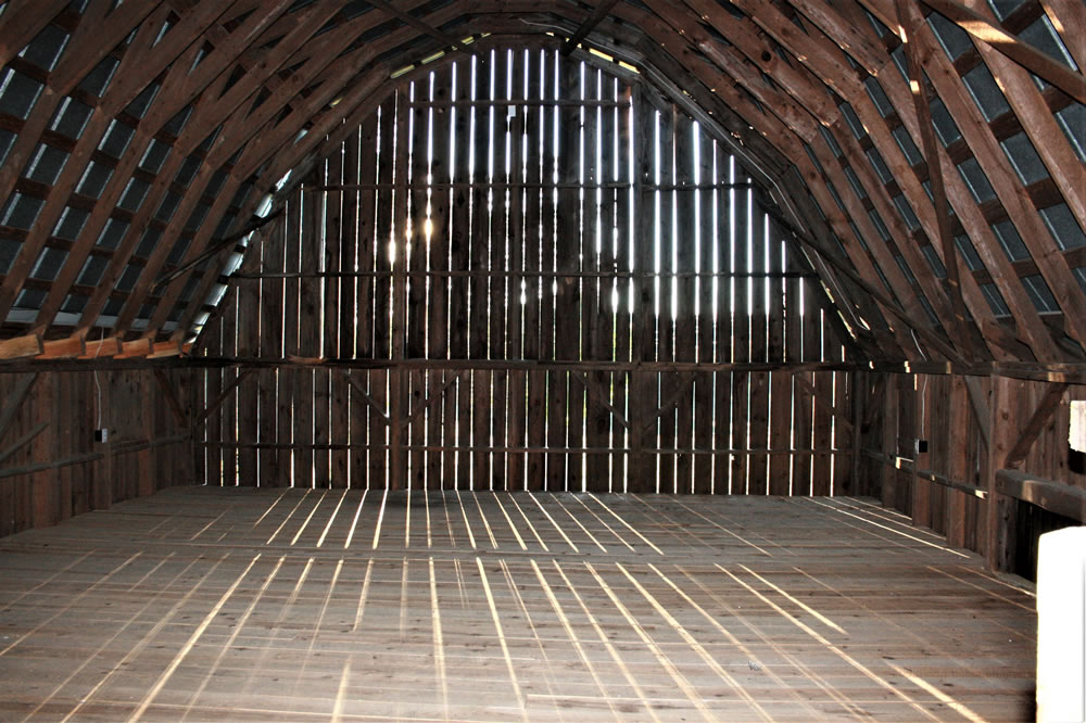 Cuddle Creek Farm